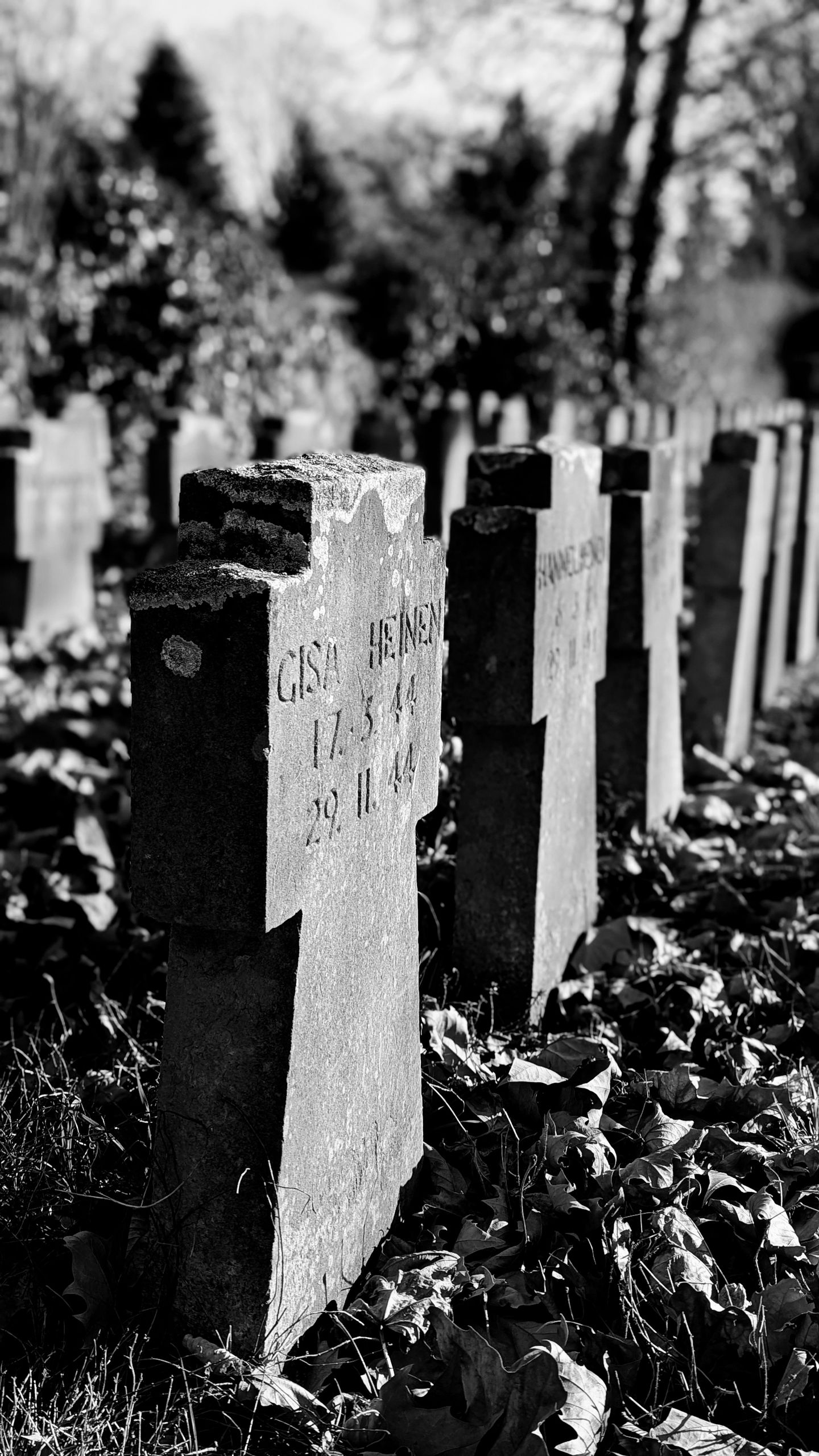 Moody black and white image of tombstones in an autumn cemetery, reflecting peace and history.